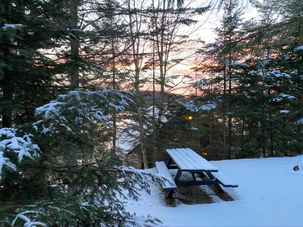 Chalet "Ici Et Maintenant, Sur Le Lac" Sainte-Marguerite-du-Lac-Masson المظهر الخارجي الصورة